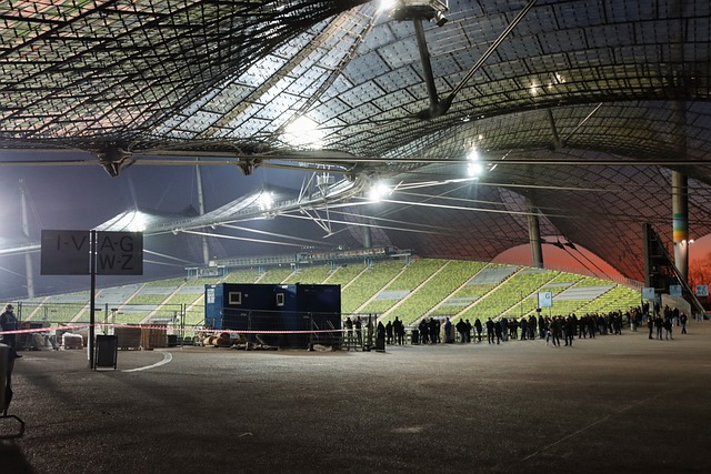 的明星价值 的明星价值