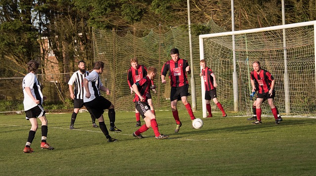 湖人系统化 湖人系统化