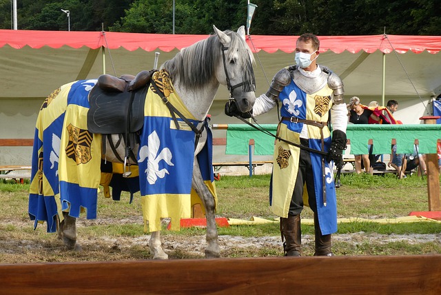 为一项国内 为一项国内
